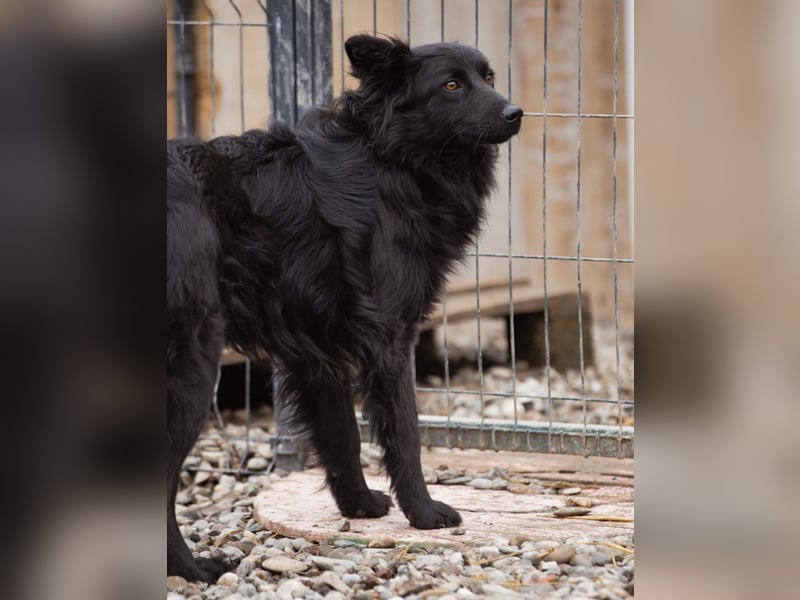 Edita eine zerbrochene Seele