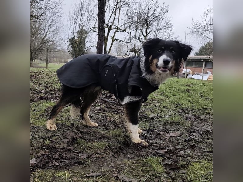 Charles ein vitaler Kerlchen