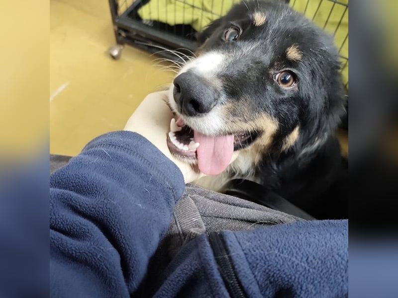 Charles ein vitaler Kerlchen