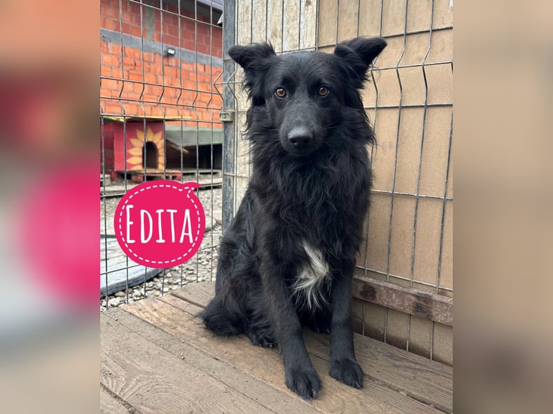 Edita eine zerbrochene Seele