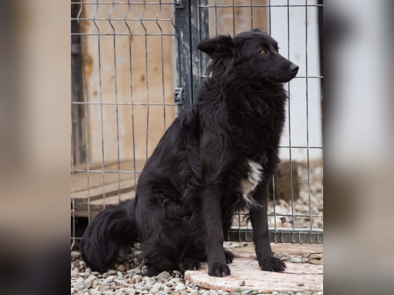 Edita eine zerbrochene Seele