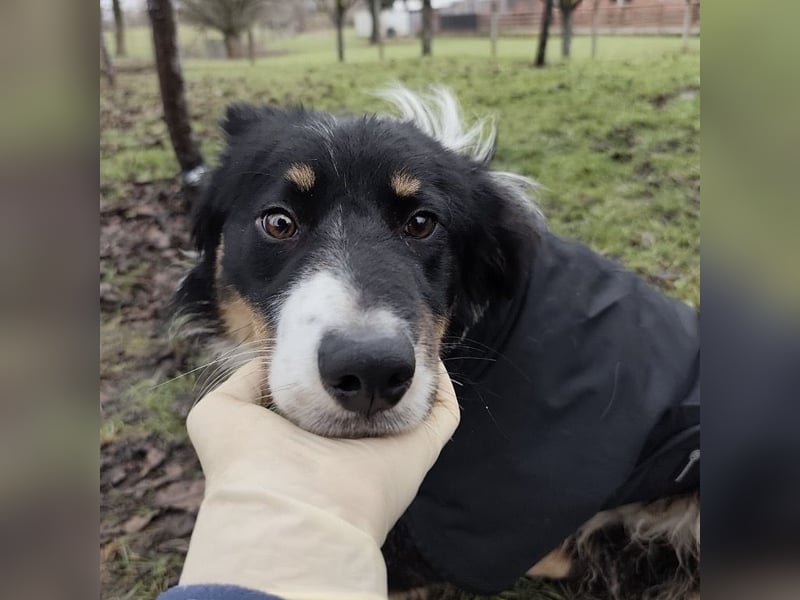 Charles ein vitaler Kerlchen