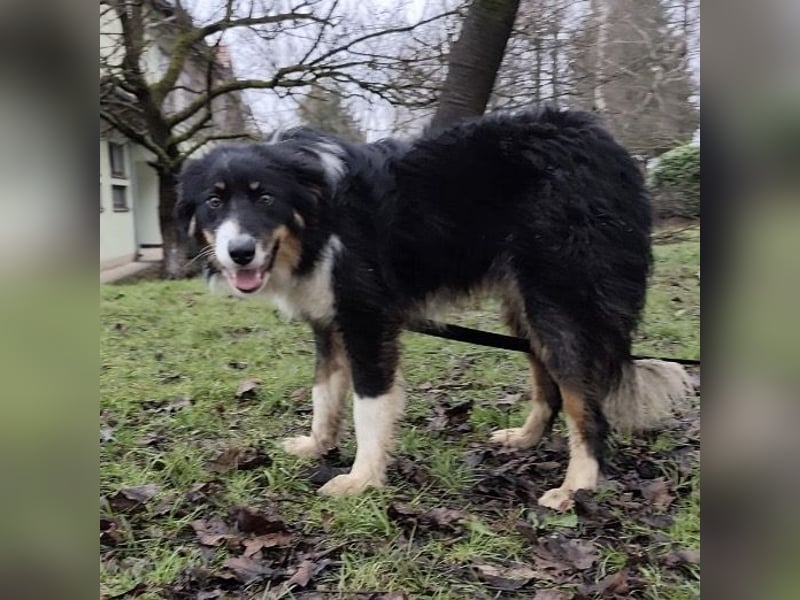 Charles ein vitaler Kerlchen