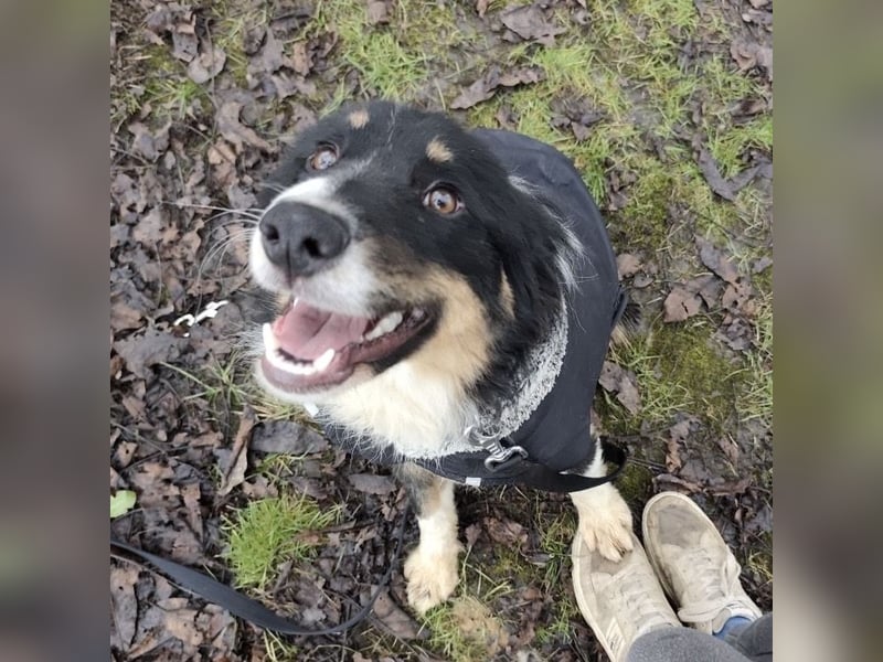 Charles ein vitaler Kerlchen