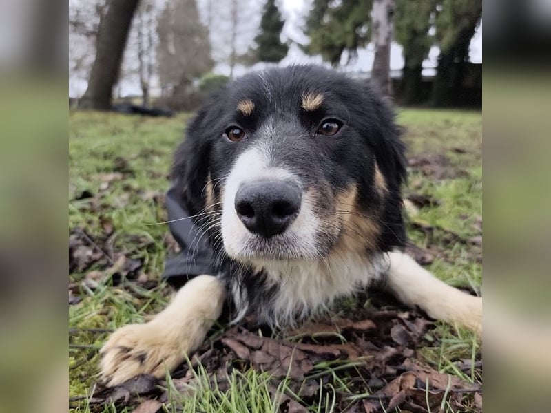 Charles ein vitaler Kerlchen