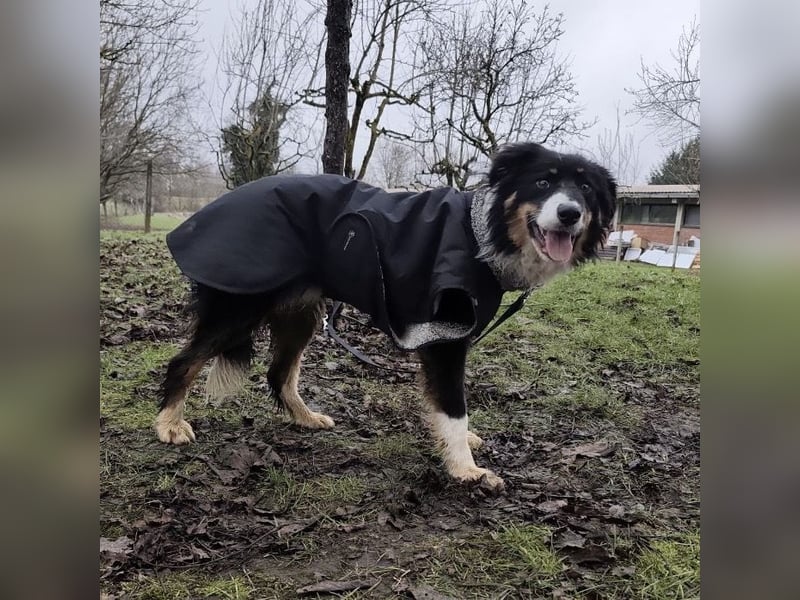 Charles ein vitaler Kerlchen