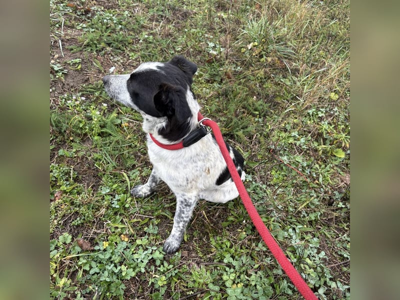 Kevin wie aus dem Film “Kevin alleine Zuhause”