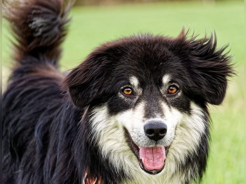 Leeloo ein sanftes Wesen