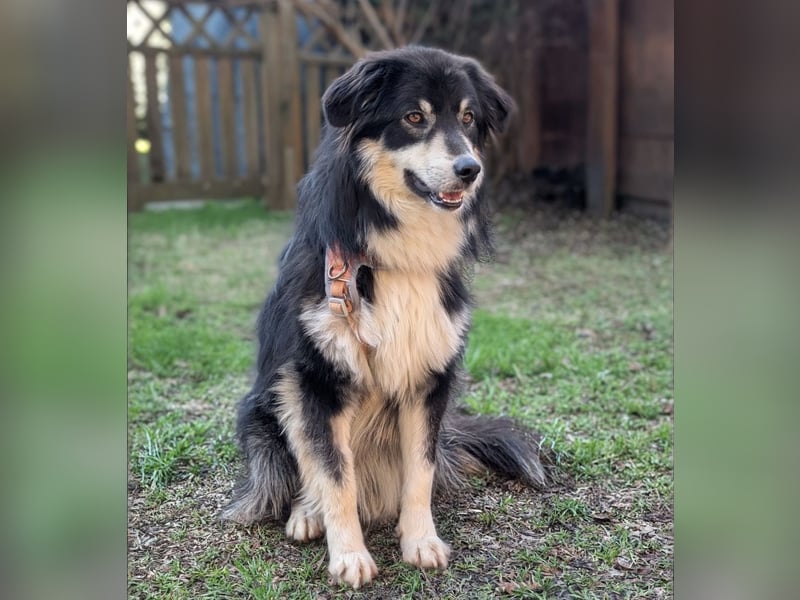 Leeloo ein sanftes Wesen