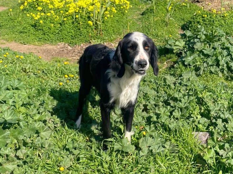 Carlo - ist reserviert