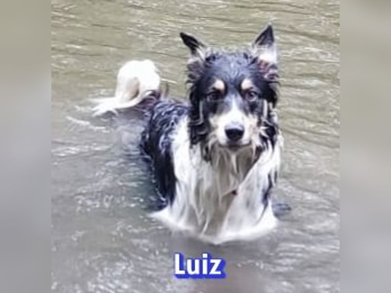 Vermittlungshilfe Luiz; Leipzig