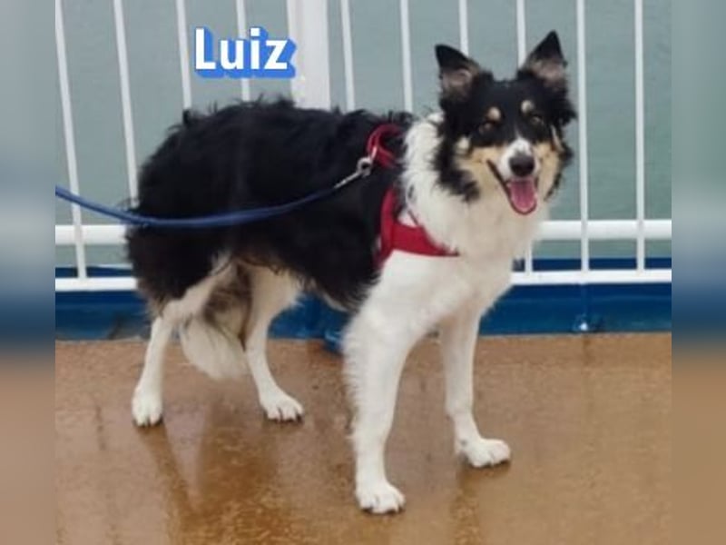 Vermittlungshilfe Luiz; Leipzig