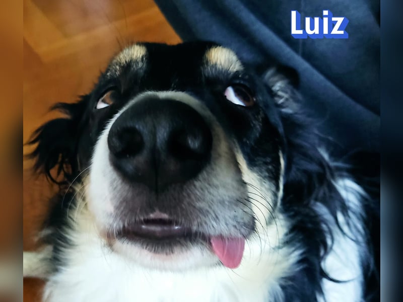 Vermittlungshilfe Luiz; Leipzig