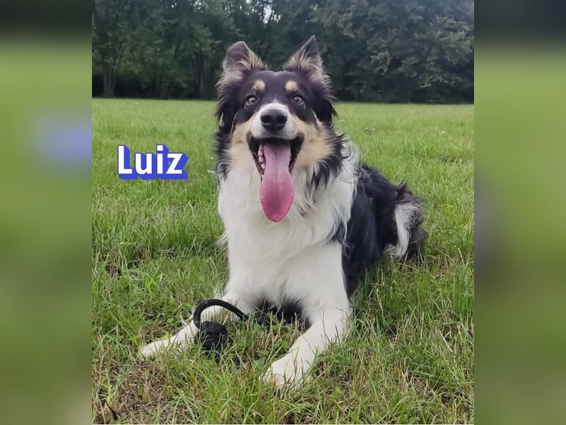 Vermittlungshilfe Luiz; Leipzig