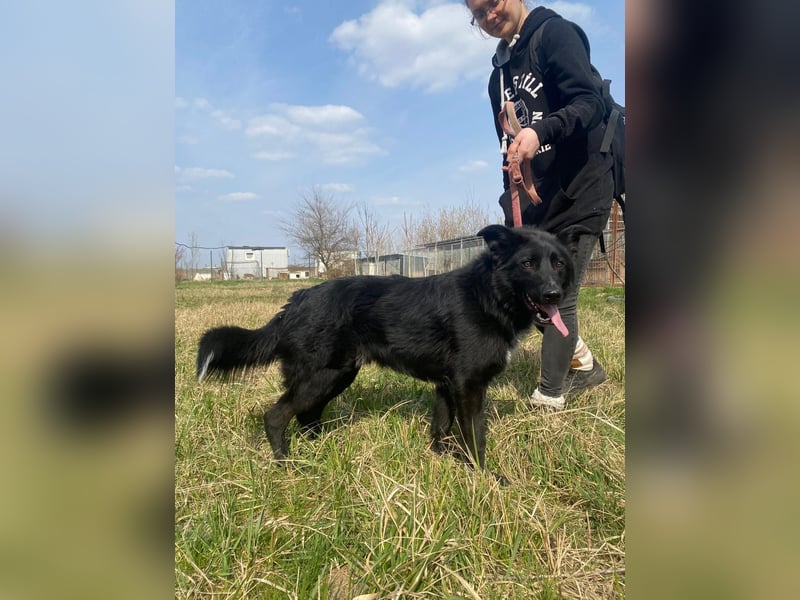 Avarka stürzt sich ins Abenteuer mit dir