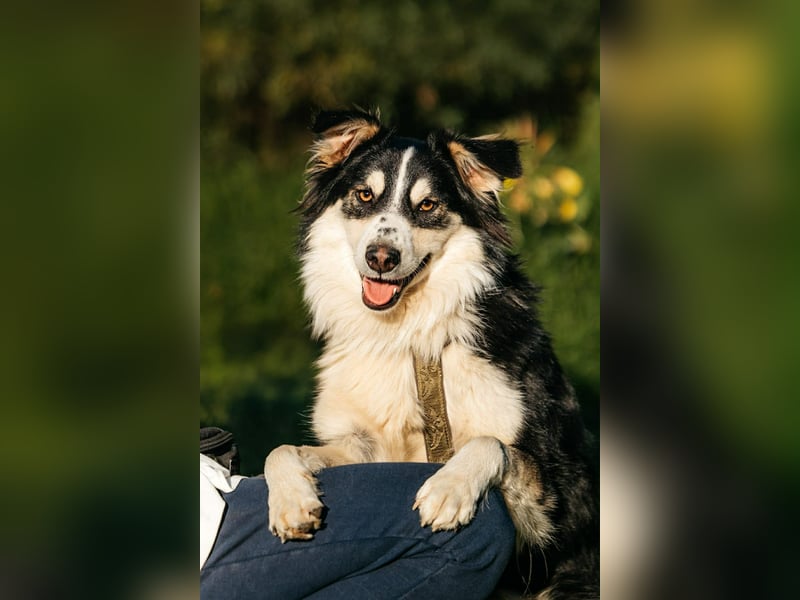 Lustiger Tocki sucht seine Familie