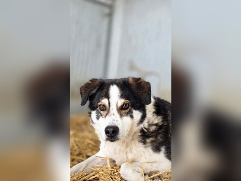 Sam - litt Hunger und Kälte