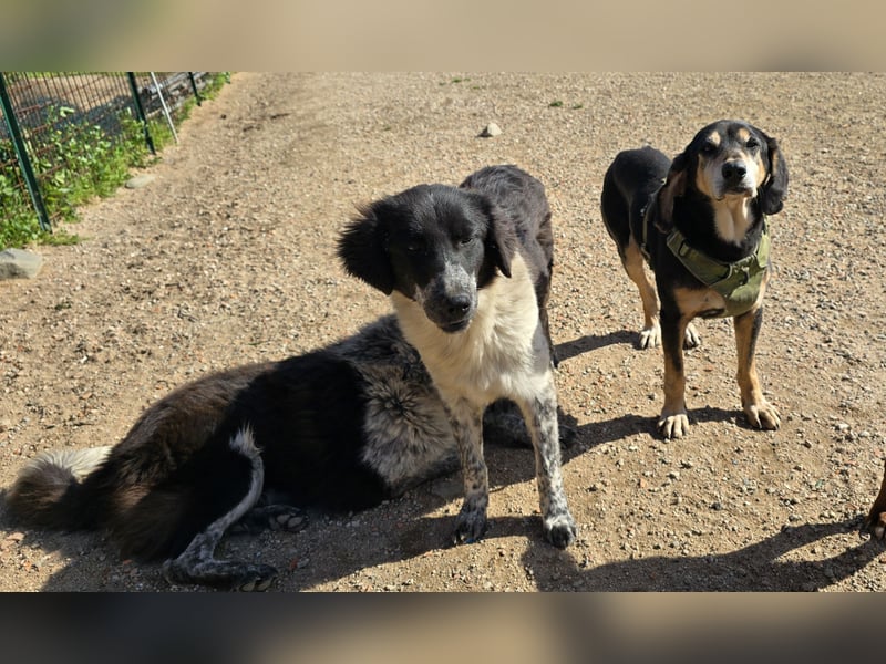 Teresa: gemeinsam schaffen wir es