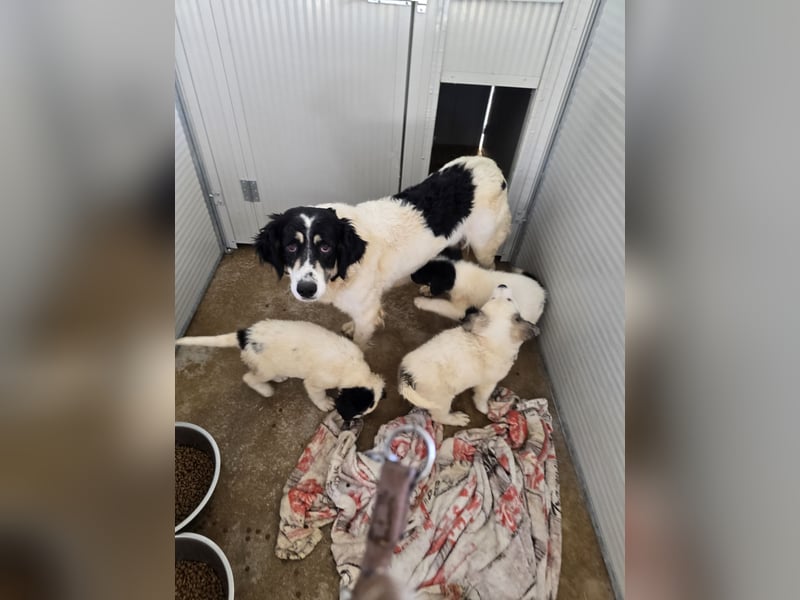 Jiva: auch Mamas brauchen Liebe