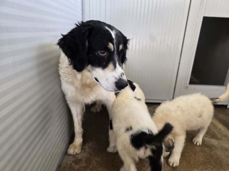 Jiva: auch Mamas brauchen Liebe