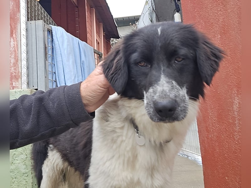 Teresa: gemeinsam schaffen wir es