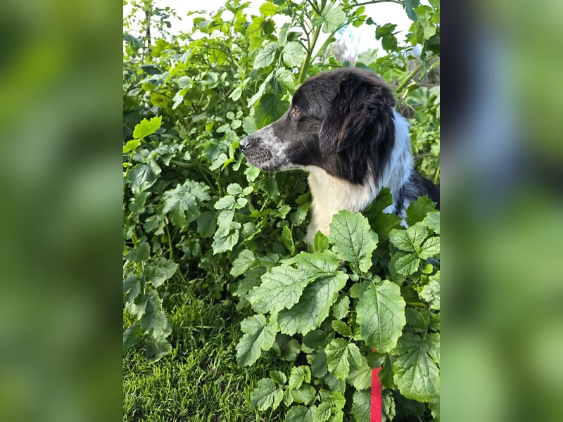 Teresa: gemeinsam schaffen wir es