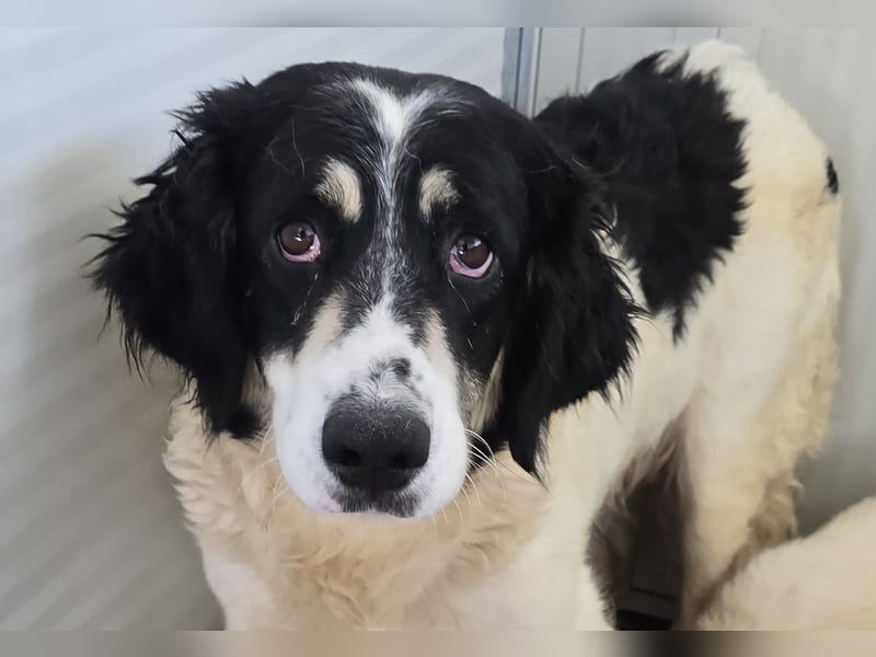 Jiva: auch Mamas brauchen Liebe