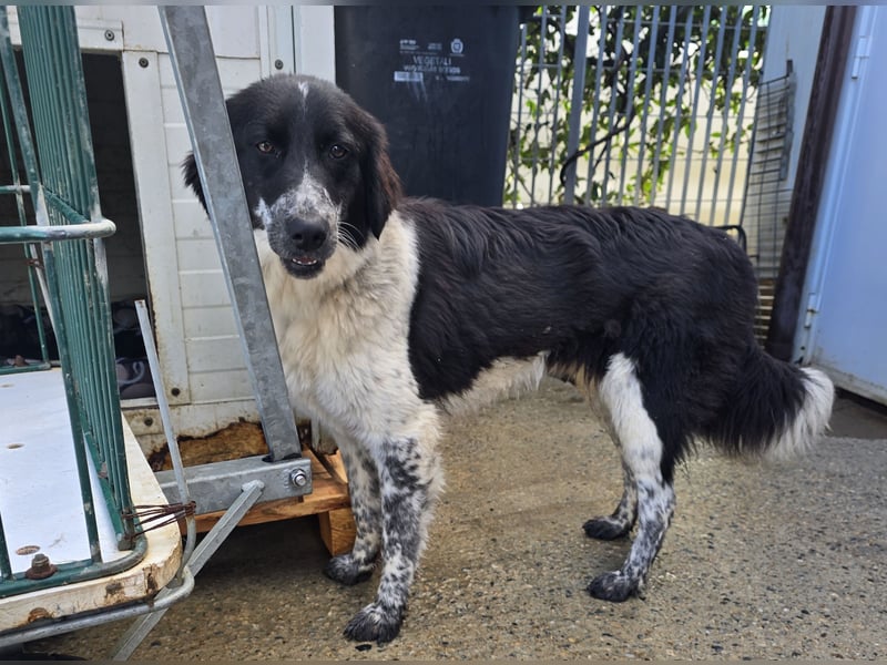 Teresa: gemeinsam schaffen wir es