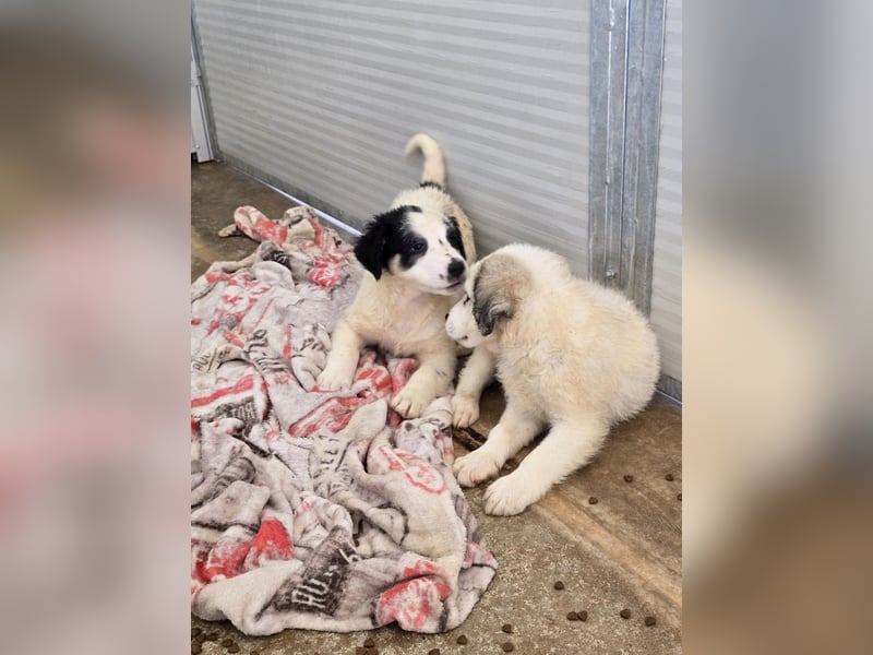 Jiva: auch Mamas brauchen Liebe