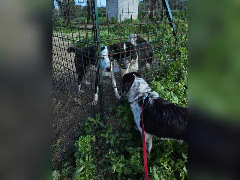 Teresa: gemeinsam schaffen wir es