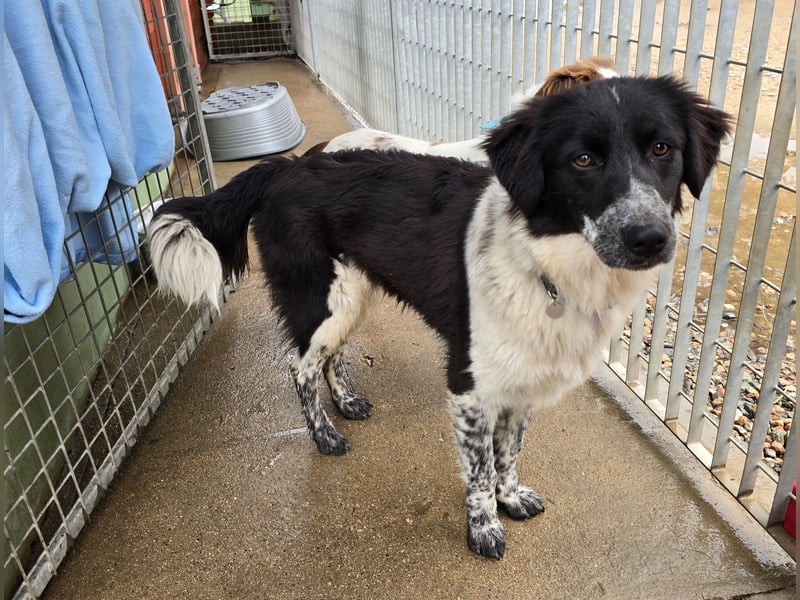 Teresa: gemeinsam schaffen wir es