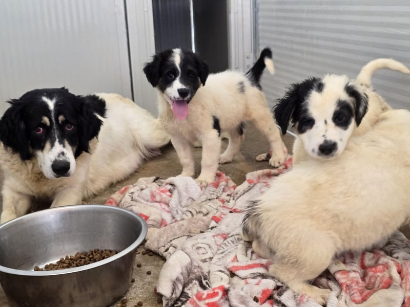 Jiva: auch Mamas brauchen Liebe