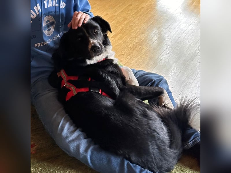 Zara sucht ihre Herzmenschen ❤️