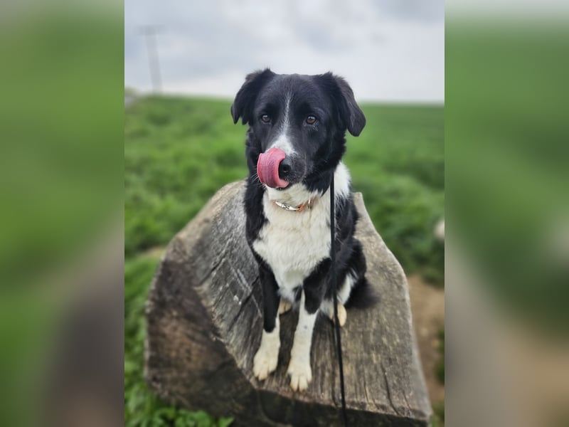 ZARA sucht ihr Glück ❤️