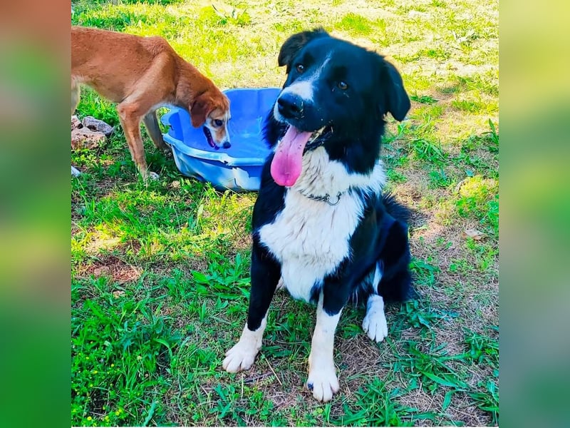 Zara sucht ihre Herzmenschen ❤️