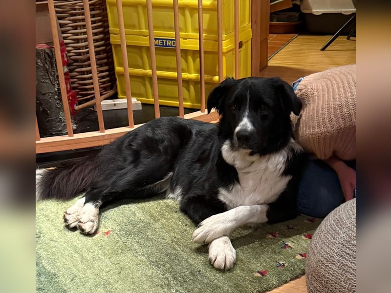 Zara sucht ihre Herzmenschen ❤️