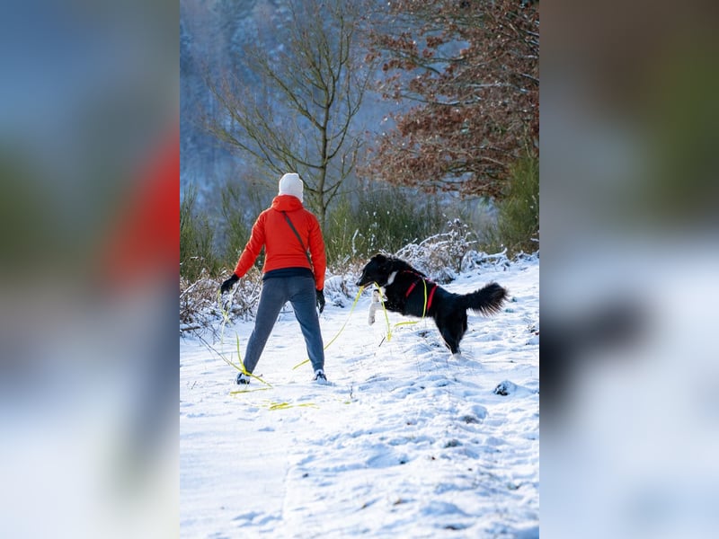 ZARA sucht ihr forever Home ❤️