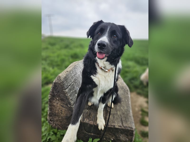 ZARA sucht ihr Glück ❤️