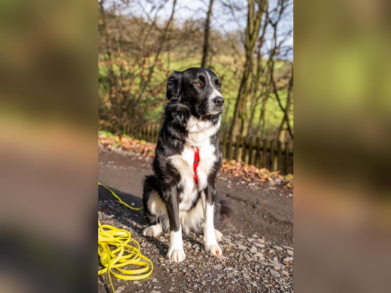 Zara sucht ihre Herzmenschen ❤️