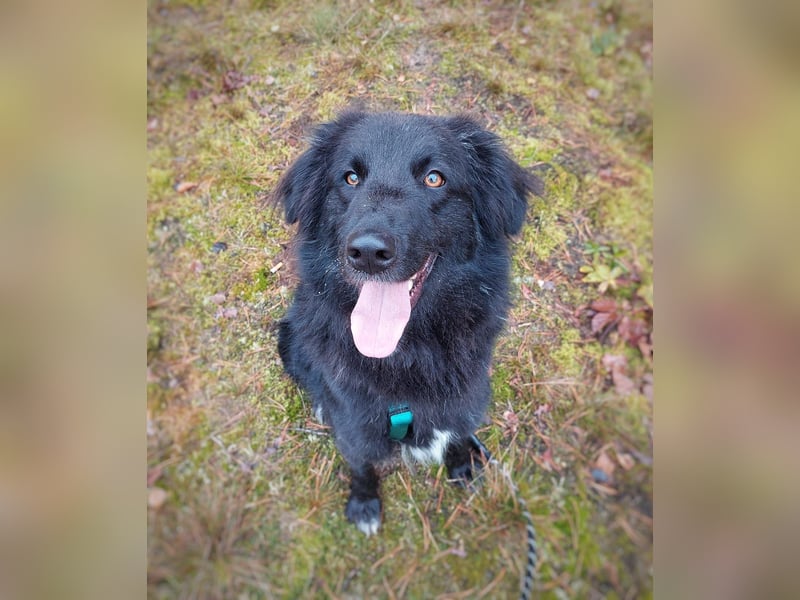 Ben