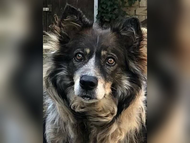 Gemeinsames Zuhause gesucht - Aponi & Chanel