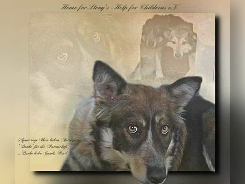 Gemeinsames Zuhause gesucht - Aponi & Chanel