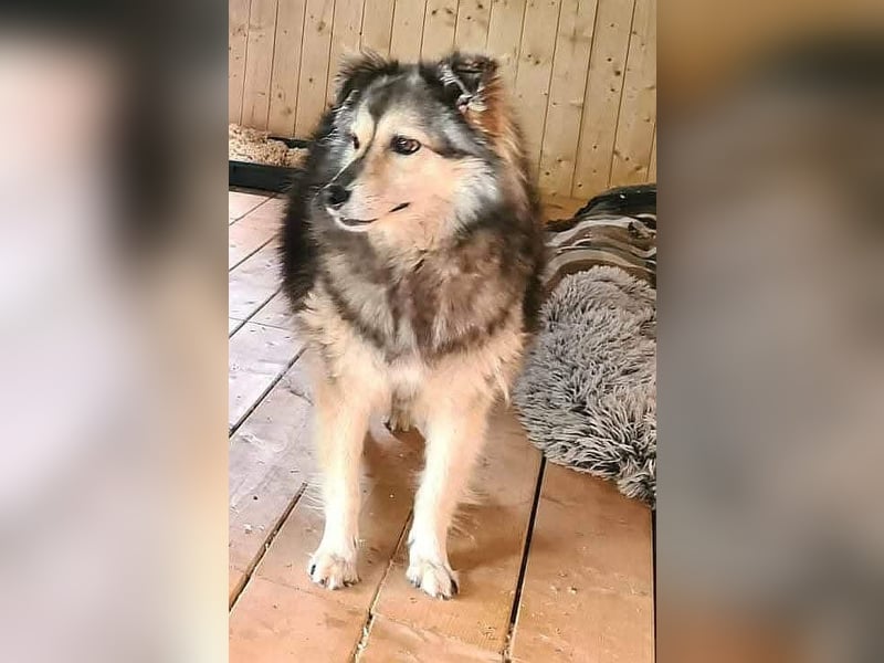 Gemeinsames Zuhause gesucht - Aponi & Chanel