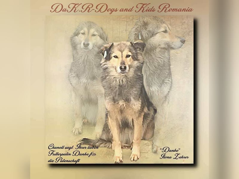 Aponi und Chanel - nur gemeinsam Zuhause