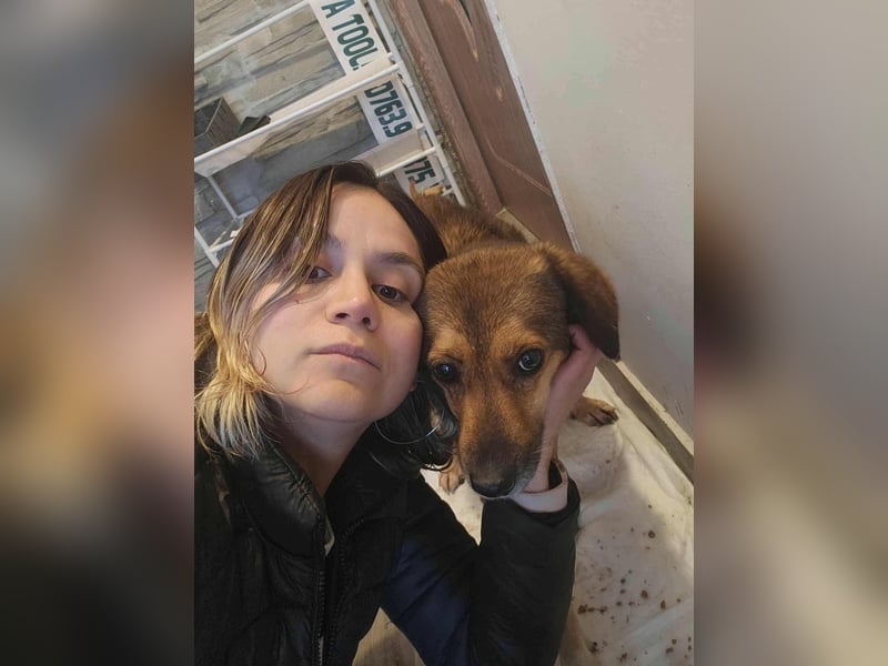 SADDY gerettet aus Horror Tötung Slatina, Ostern'22