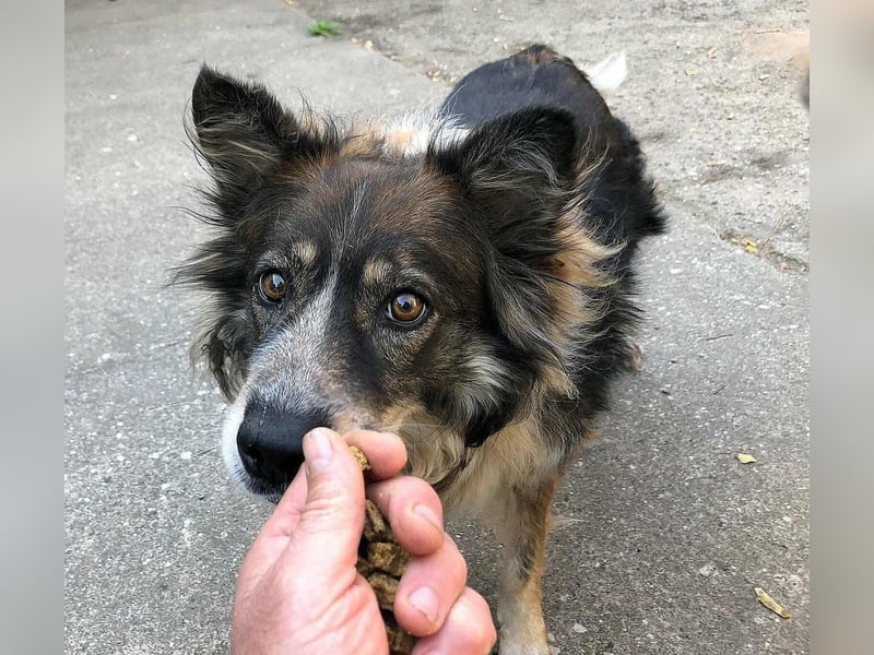 Aponi und Chanel - nur gemeinsam Zuhause