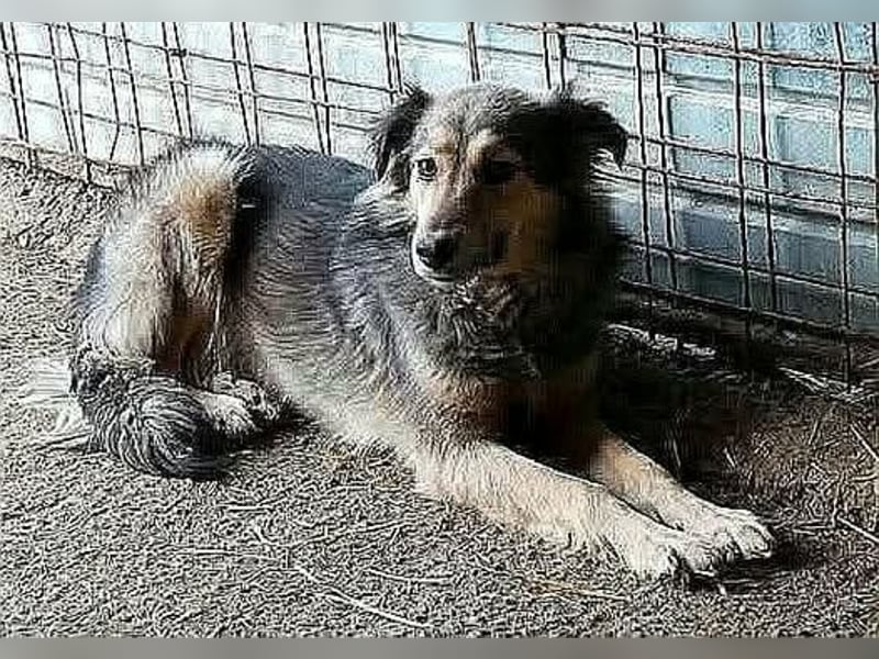 Gemeinsames Zuhause gesucht - Aponi & Chanel