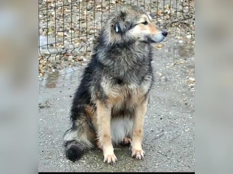 Gemeinsames Zuhause gesucht - Aponi & Chanel