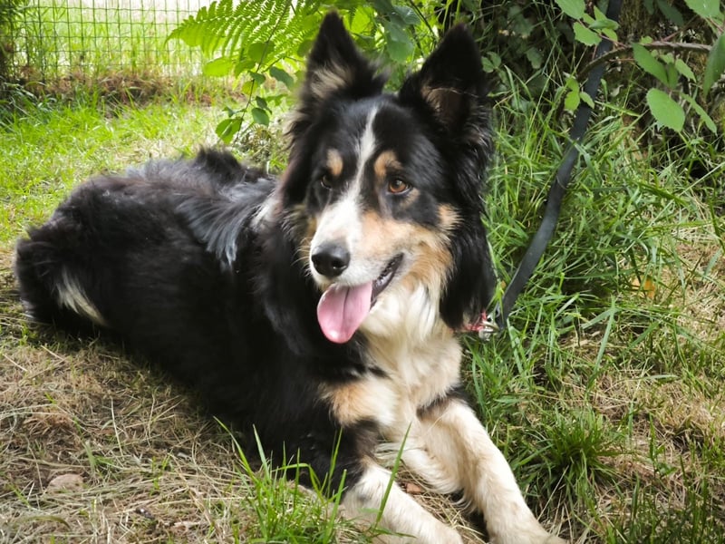 Luca
