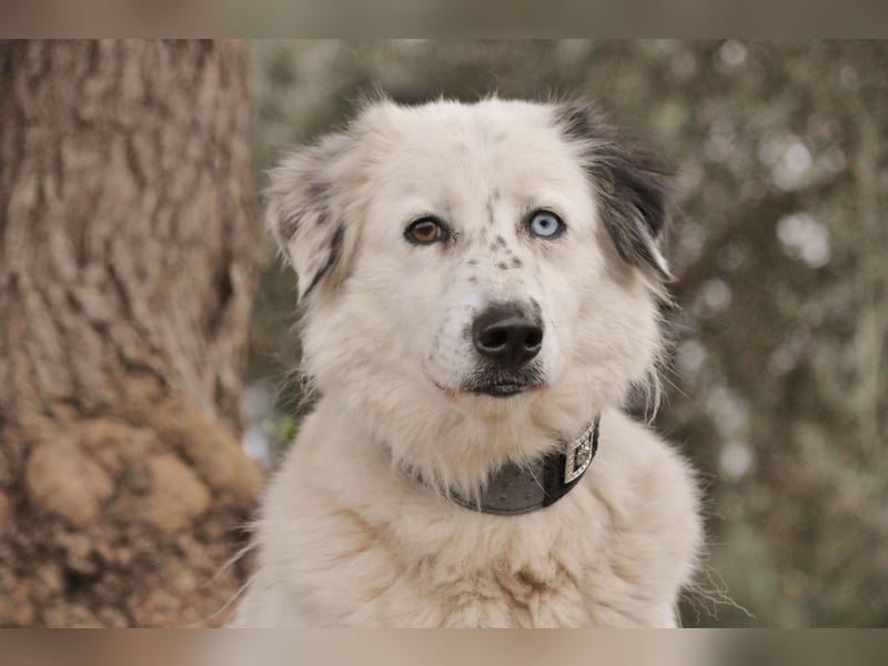 Wer schenkt Lolha die Chance, endlich anzukommen